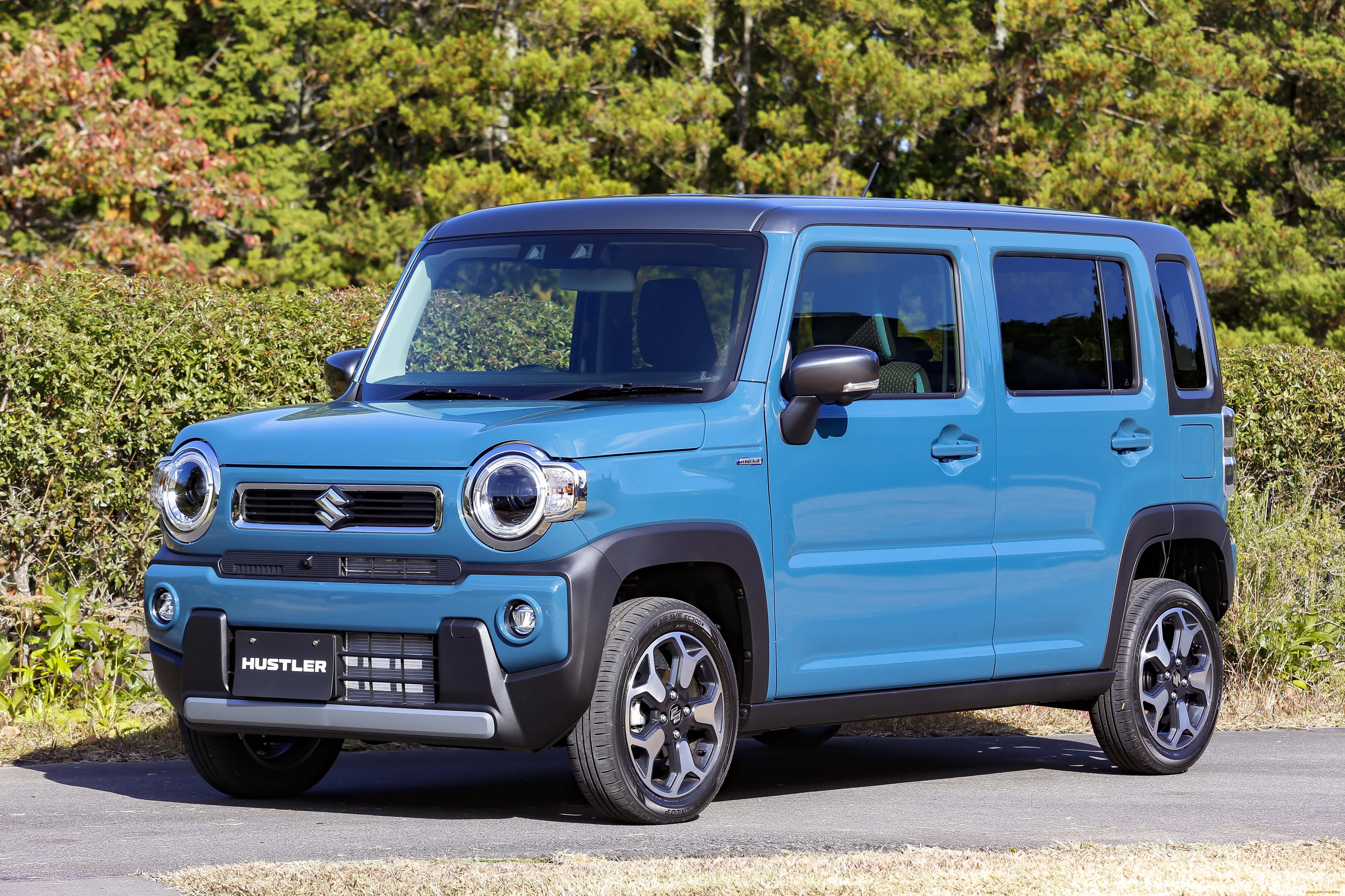 , suzuki